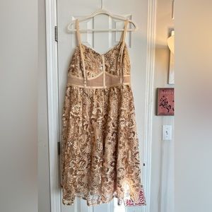 NWOT Torrid 24 gold lace and sequin dress